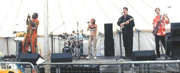 Photo of Dr. Bass playing soul music with Mandingo Dream at the Willow Festival, Peterborough